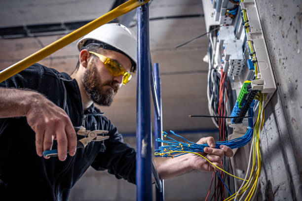 Best Electrical System Inspection  in Williamstown, WV