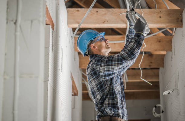 Best Electric Panel Repair  in Williamstown, WV